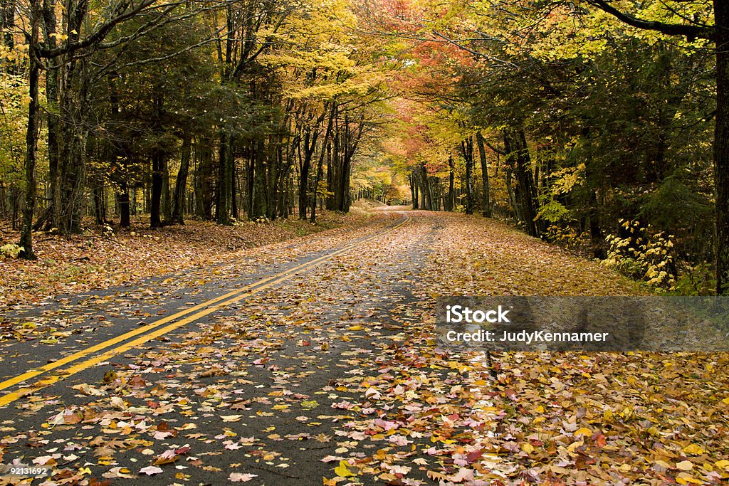 Schöne Herbst Straße mit goldenen Blättern verziert - Lizenzfrei Appalachen-Region Stock-Foto
