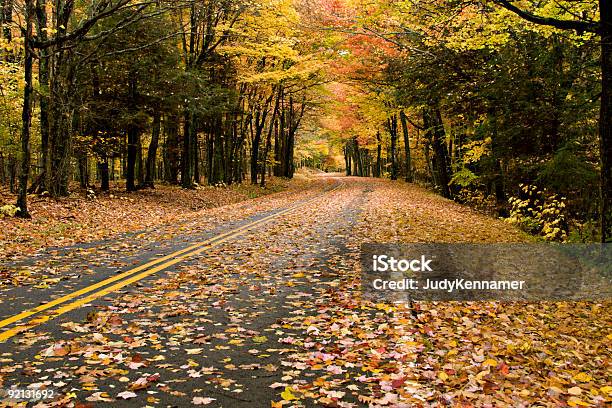 Schöne Herbst Straße Mit Goldenen Blättern Verziert Stockfoto und mehr Bilder von Appalachen-Region