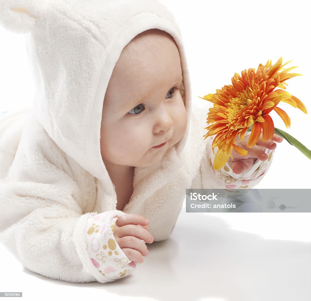 Baby examining daisy  Baby - Human Age Stock Photo