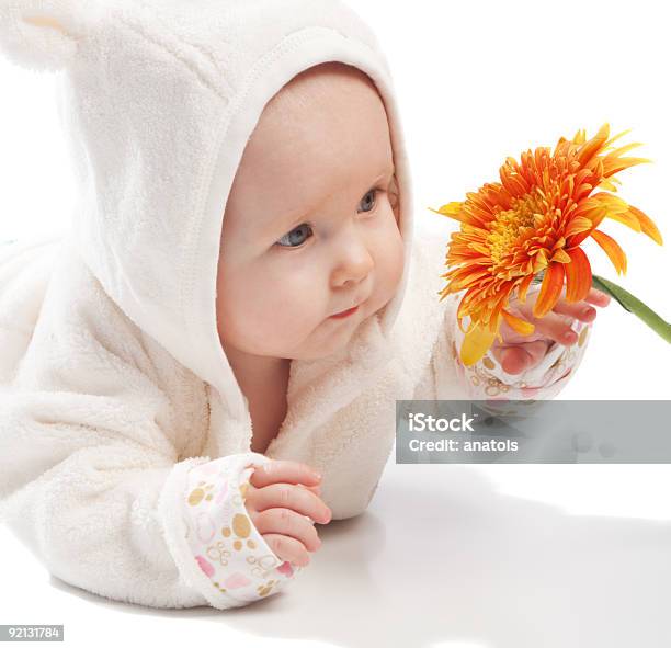 Baby Examining Daisy Stock Photo - Download Image Now - Baby - Human Age, Beautiful People, Child