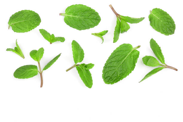 istock fresh green mint leaves isolated on white background with copy space for your text, top view. Flat lay 921318718