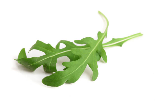 istock Green fresh rucola or arugula leaf isolated on white background macro 921318812