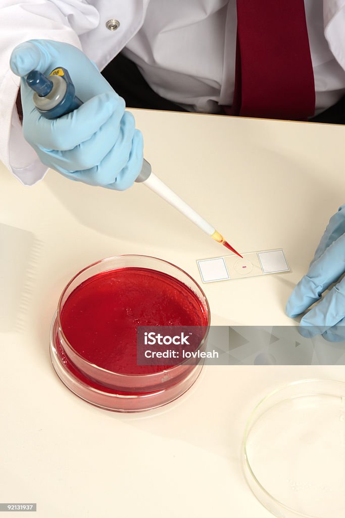 Científico preparación de una diapositiva - Foto de stock de ADN libre de derechos