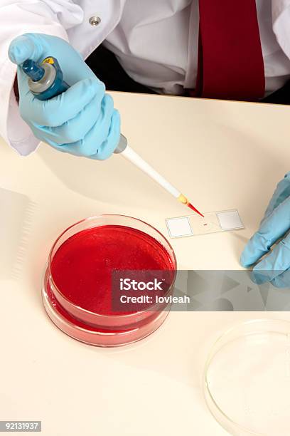 Científico Preparación De Una Diapositiva Foto de stock y más banco de imágenes de ADN - ADN, Adulto, Agar-agar