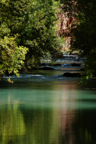 Summer landscape with small lake in forest.