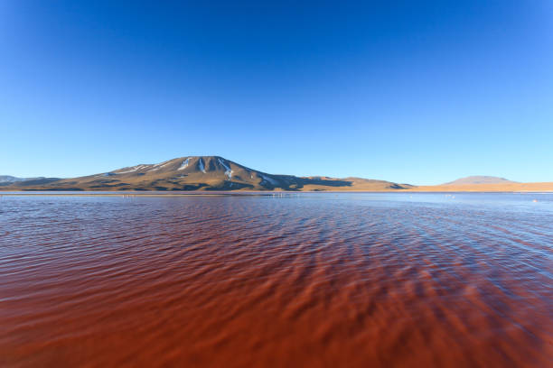 istock Laguna Colorada view, Bolivia 921321658