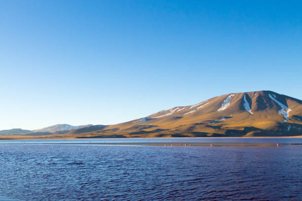 istock Laguna Colorada view, Bolivia 921321978