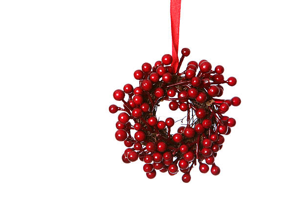 currant berry fruits at the tree