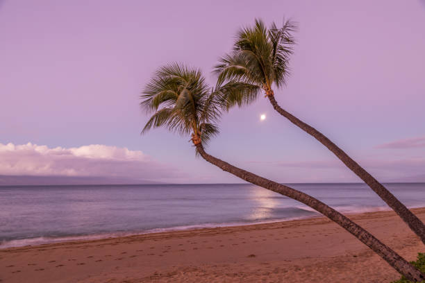 istock Full Moon on a Maui Beach at Sunrise 921324178