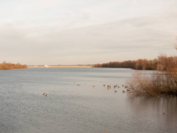 istock coast flat water surface reservoir scene dam in distance 921327672