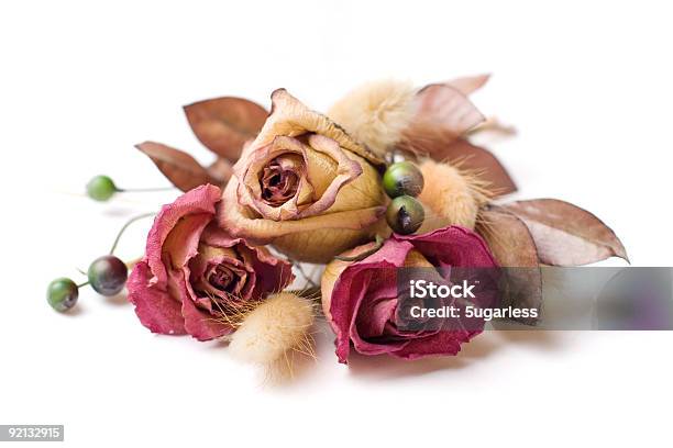 Suszonych Róż Bukiet - zdjęcia stockowe i więcej obrazów Uschnięta roślina - Uschnięta roślina, Aranżacja, Bez ludzi