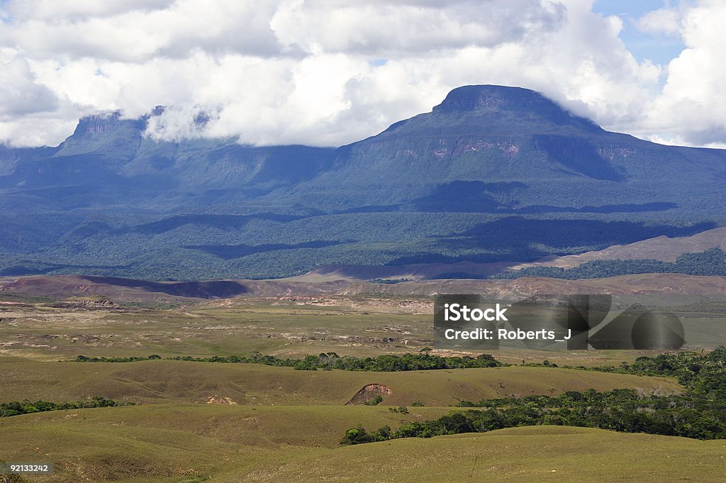 Tepui in Venezuela - Foto stock royalty-free di Altopiano