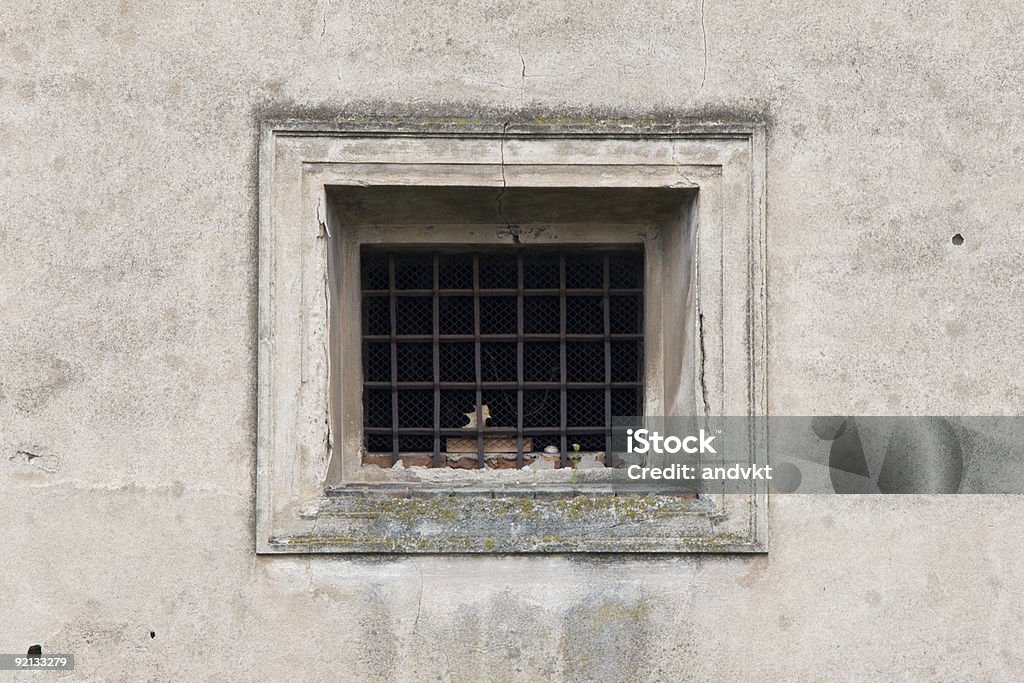 Prisión de ventana - Foto de stock de Abandonado libre de derechos