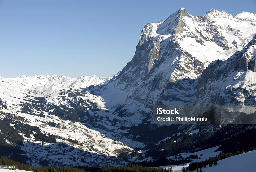 Grindelwald - Foto stock royalty-free di Albero
