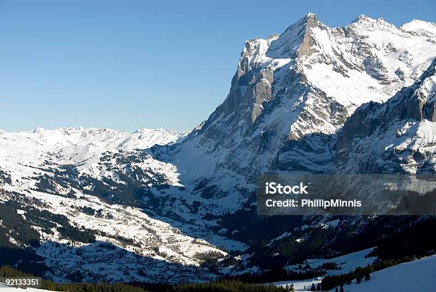 Grindelwald - Fotografie stock e altre immagini di Albero - Albero, Alpi, Alpi svizzere