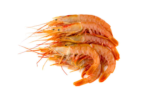 istock Raw prawns on a white background. Shrimp langoustine close-up on a white surface. 921335090