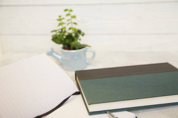 istock Notebook and plant in a pot 921339626
