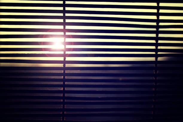 istock the sun shining through the blinds 921339664