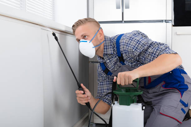 istock Worker Spraying Pesticide On Wall 921342322