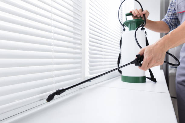 Worker Spraying Insecticide On Windowsill Midsection Of Worker Spraying Insecticide On Windowsill With Sprayer In Kitchen exterminator photos stock pictures, royalty-free photos & images
