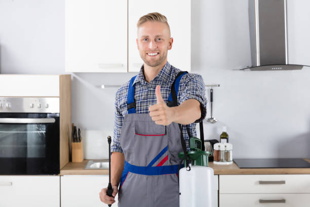 Confident Pest Control Worker With Pesticide Container Portrait Of Confident Pest Control Worker With Pesticide Container In Kitchen exterminator photos stock pictures, royalty-free photos & images