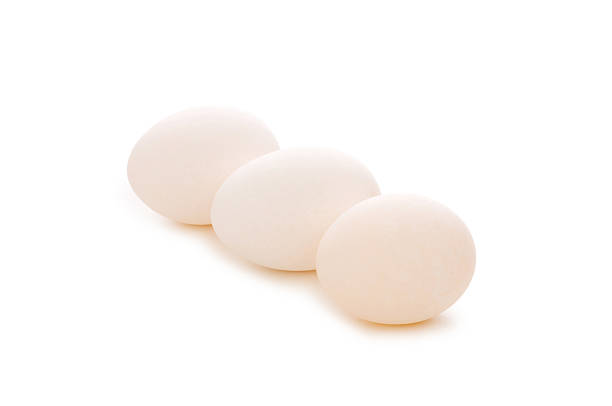istock Group of eggs isolated on the white 92135067