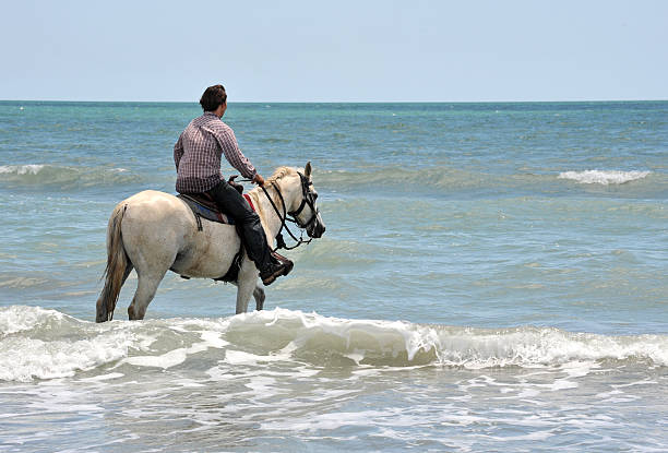 istock man and horse in sea 92135403