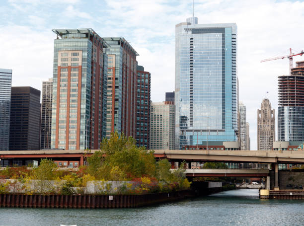 istock Chicago city skyline 921356466
