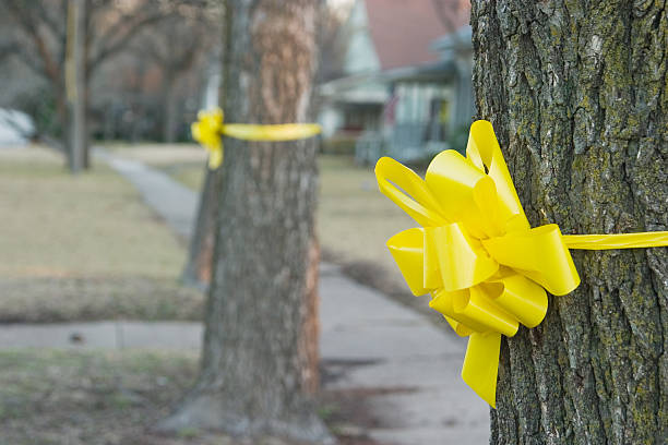 istock Yellow Ribbon Around An Old Oak Tree 1 92135680