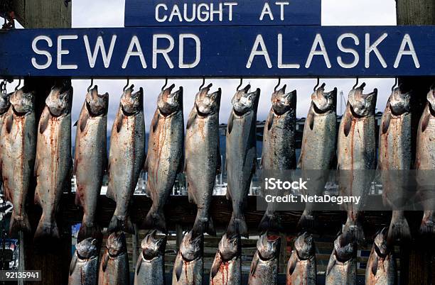 Salmone Alaska - Fotografie stock e altre immagini di Seward - Alaska - Seward - Alaska, Alaska - Stato USA, Salmone - Animale