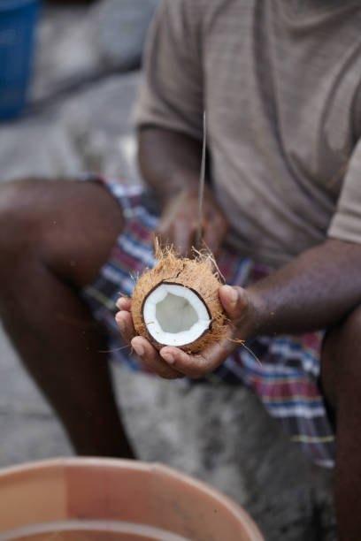 istock Afro Caribbean Man Shelling Coconut 921364832