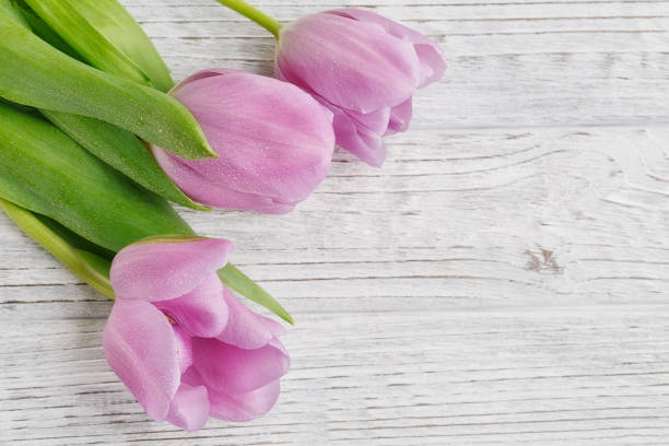 istock Purple tulips on wooden table 921367952