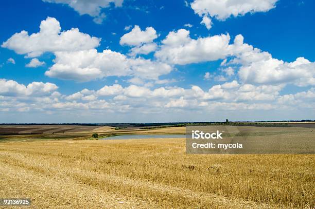 Ländliche Blick Auf Stockfoto und mehr Bilder von Abstrakt - Abstrakt, Agrarbetrieb, Bedeckter Himmel