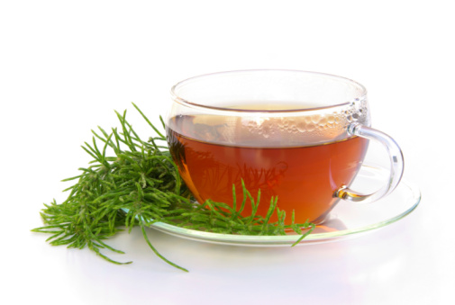 herbal tea from field horsetail