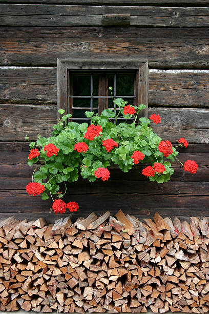 istock Old Window with flowers and firewood 92137021