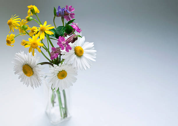 istock flowers in small glass vase ,studio shot 92137216