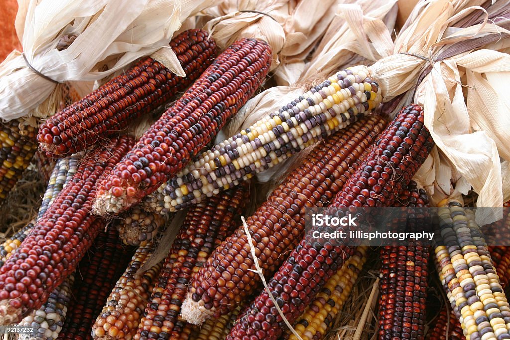 Kukurydza ozdobna na Farmer's MArket - Zbiór zdjęć royalty-free (Bez ludzi)