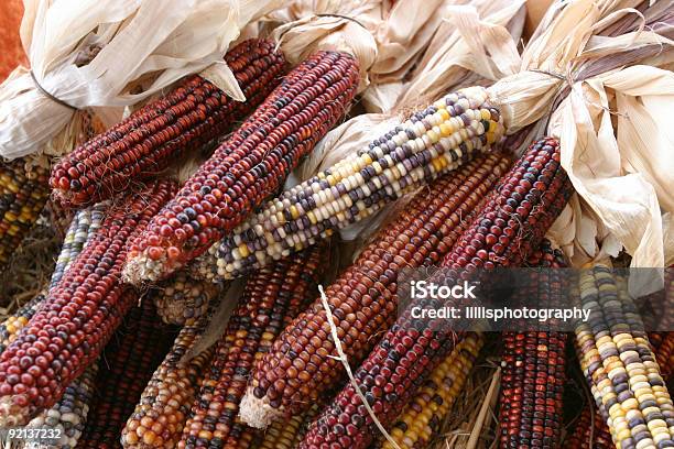 Kukurydza Ozdobna Na Farmers Market - zdjęcia stockowe i więcej obrazów Bez ludzi - Bez ludzi, Czerwony, Dekoracja