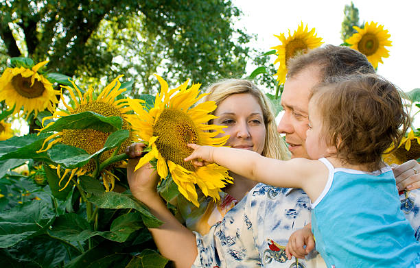 Happy family having fun in the field of sunflowers.The concept of summer holiday. Mother's, father's, baby's day. Family spending time together