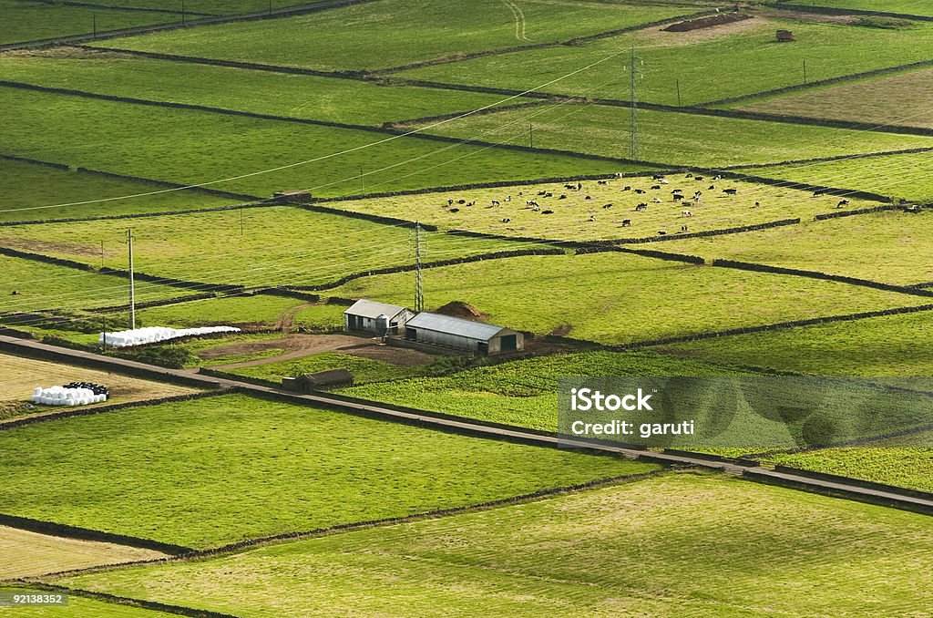 Farmland - Foto stock royalty-free di Agricoltura