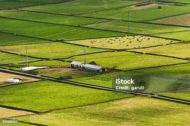 Farmland - Fotografie stock e altre immagini di Agricoltura - Agricoltura, Agricoltura biologica, Ambientazione esterna