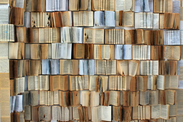 istock Many old torn and charred books as background 921417706