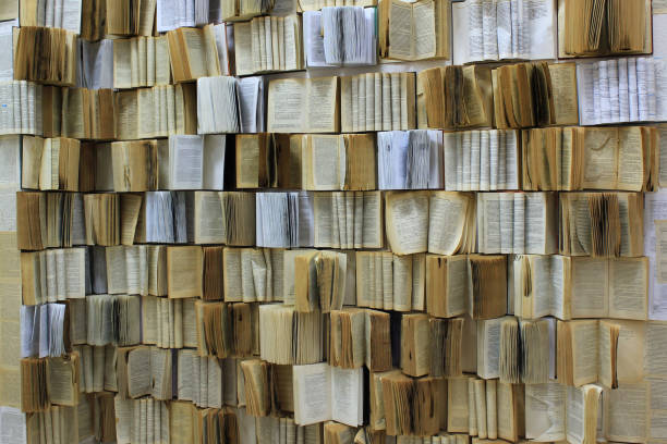 istock Many old torn and charred books as background 921419702