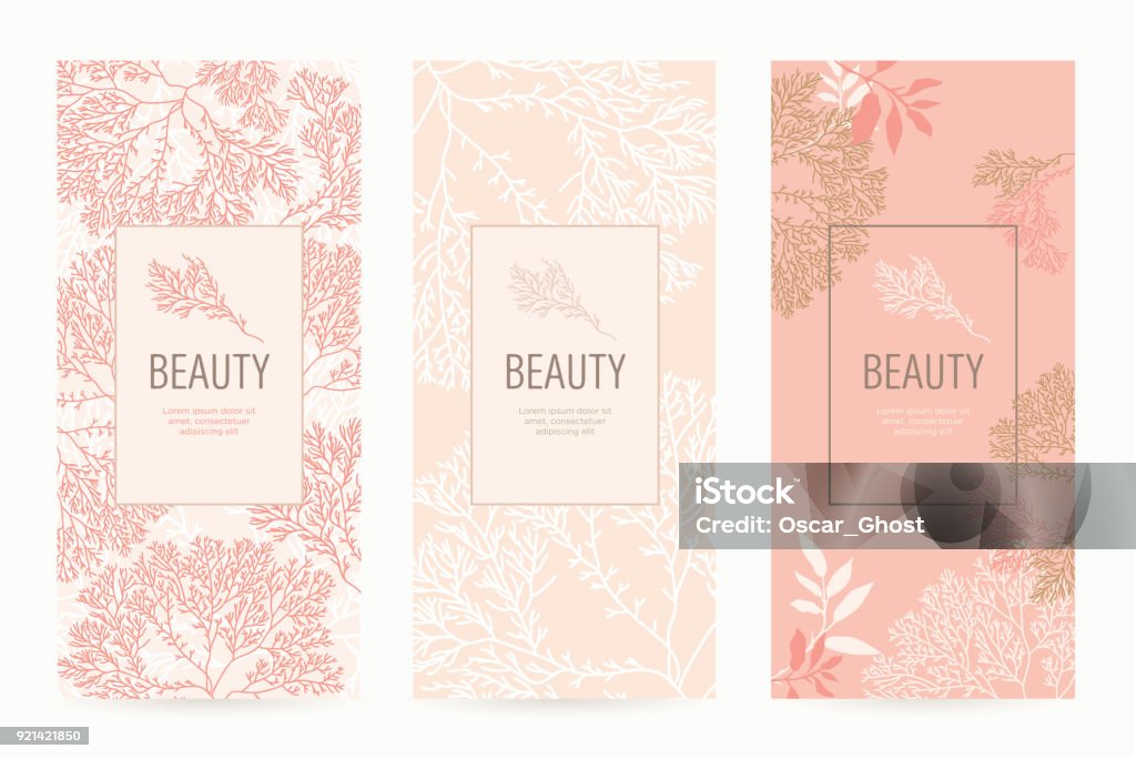 Eine Reihe von Verpackungen Vorlagen mit floralen Textur für Luxusprodukte. - Lizenzfrei Bildhintergrund Vektorgrafik