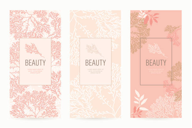eine reihe von verpackungen vorlagen mit floralen textur für luxusprodukte. - spa stock-grafiken, -clipart, -cartoons und -symbole