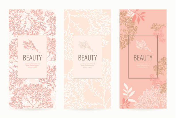 illustrations, cliparts, dessins animés et icônes de un ensemble de modèles d’emballage avec une texture florale pour les produits de luxe. - beauty spa illustrations