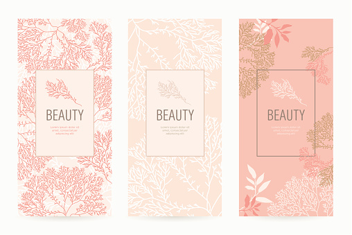 Design template of leaflet cover, flayer, card for the hotel, beauty salon, spa, restaurant, club. Vector illustration