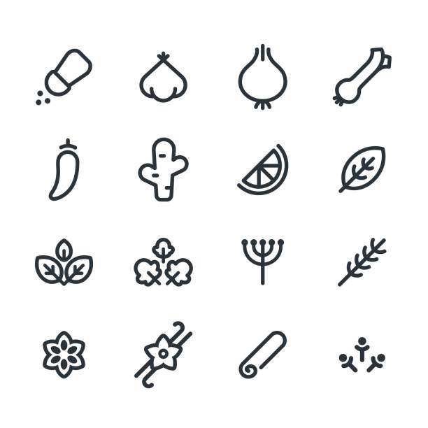 травы и специи иконы - spice ginger cooking tasting stock illustrations