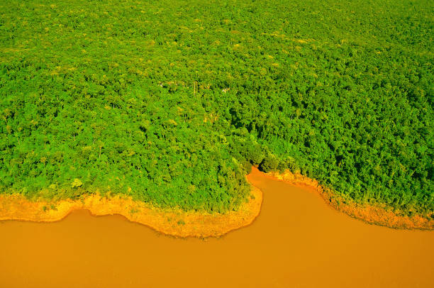 istock Aerial view of Iguazu river. 921429942