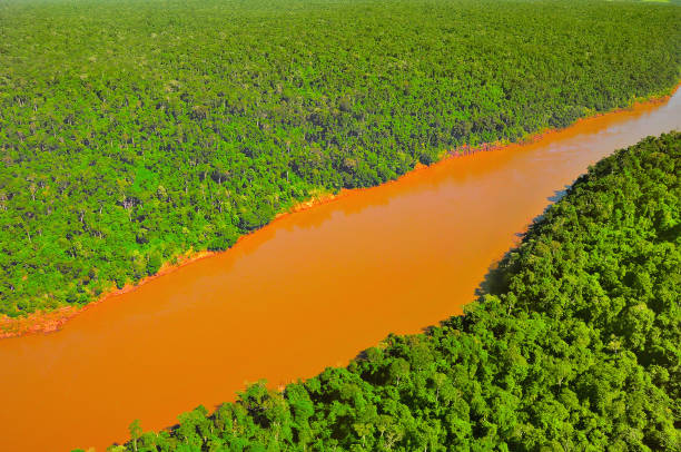 istock Aerial view of Iguazu river. 921429970